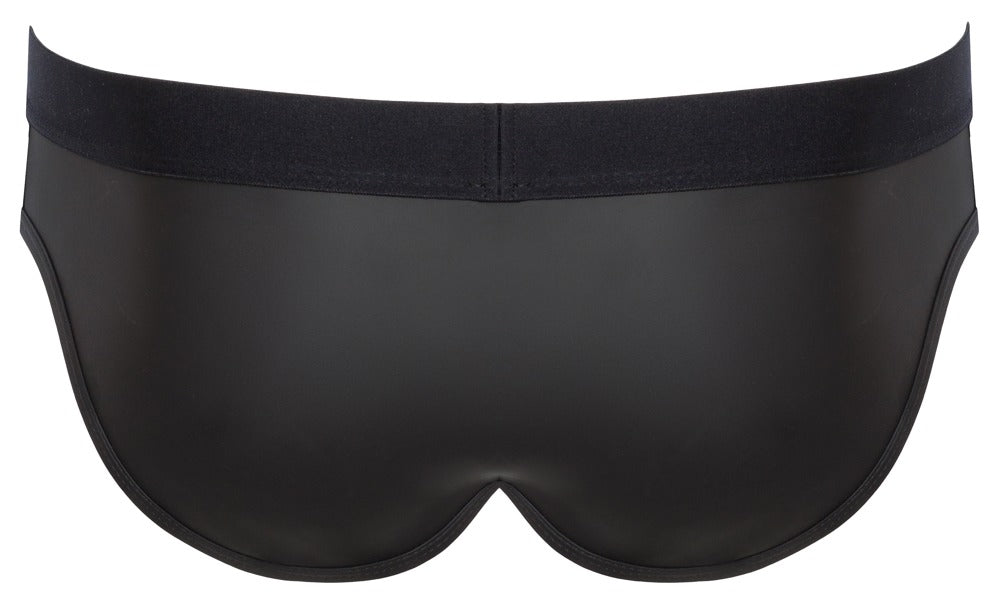 Briefs