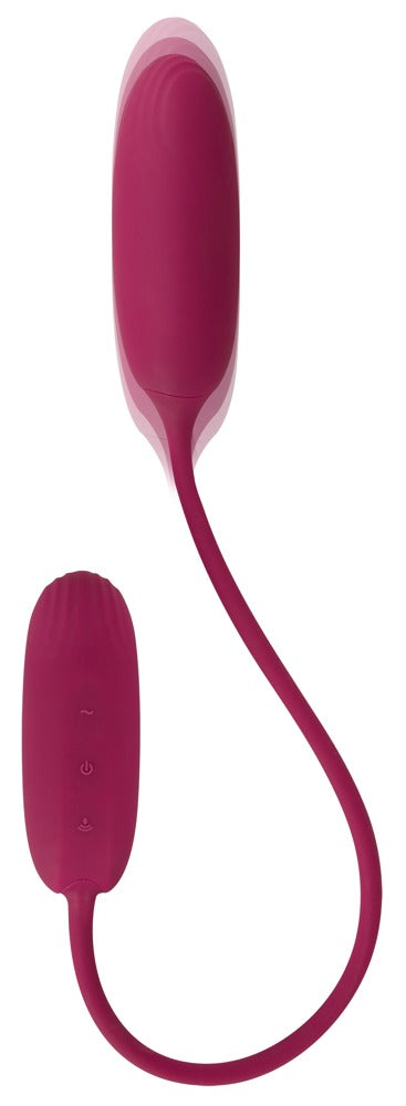 RC Shaking &amp; Vibrating Love Egg Duo