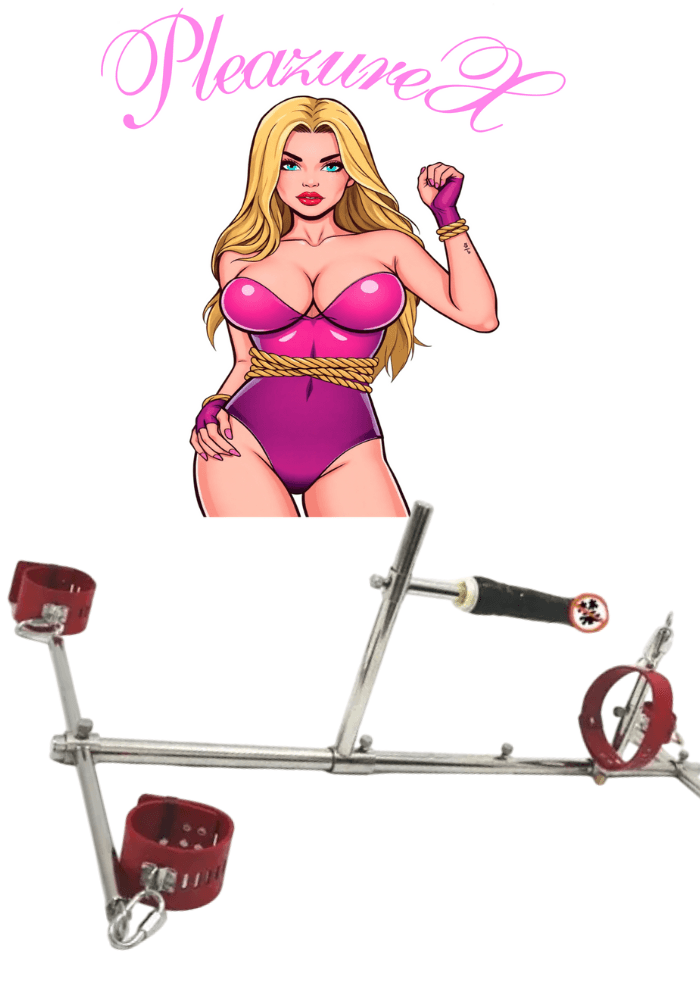 Dildo meubel rvs rood