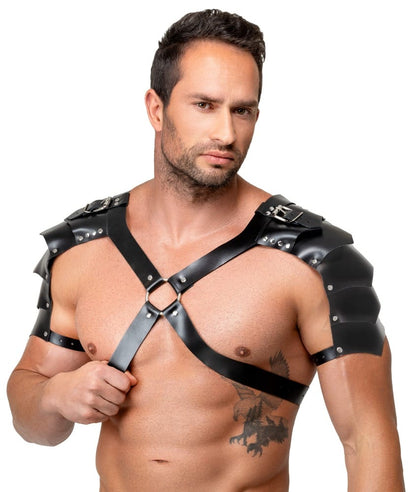 Leather Harness