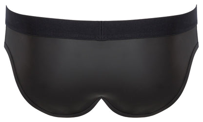 Briefs