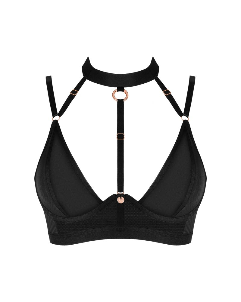 Brasica bra