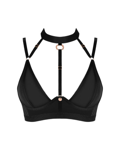 Brasica bra