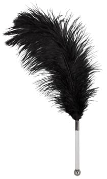 Feather Tickler