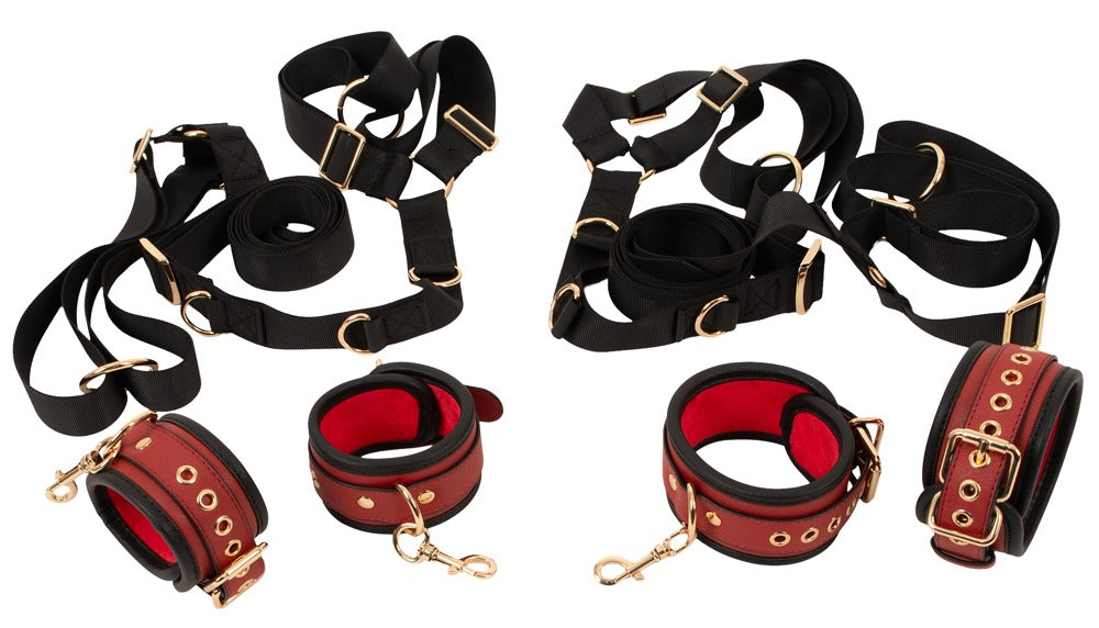 Bed/Door Restraint Set