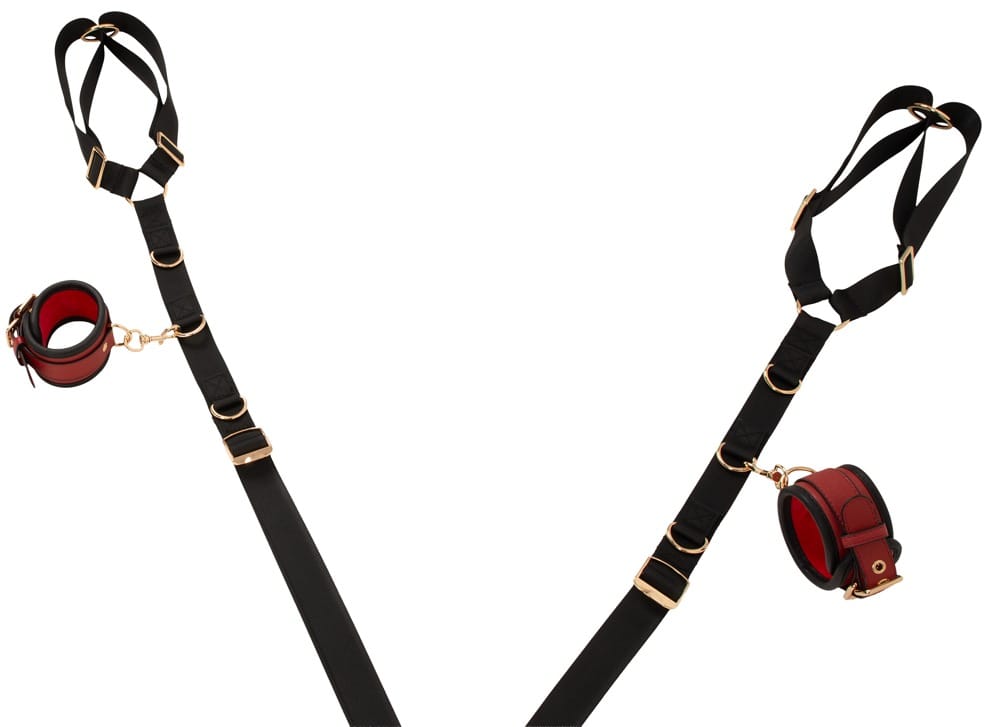 Bed/Door Restraint Set