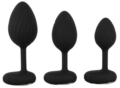 RC Butt Plug Set with Vibration