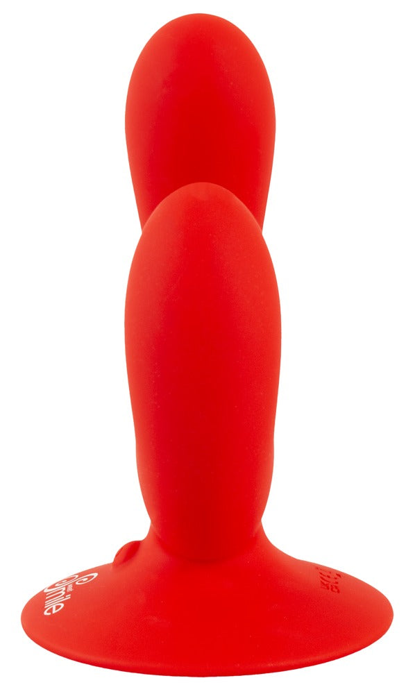 Dual Vibrator