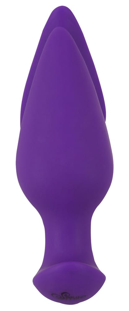 RC 2 in 1 Plug & Panty Vibe
