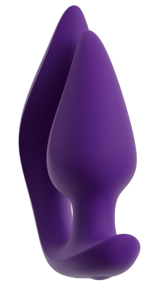RC 2 in 1 Plug & Panty Vibe