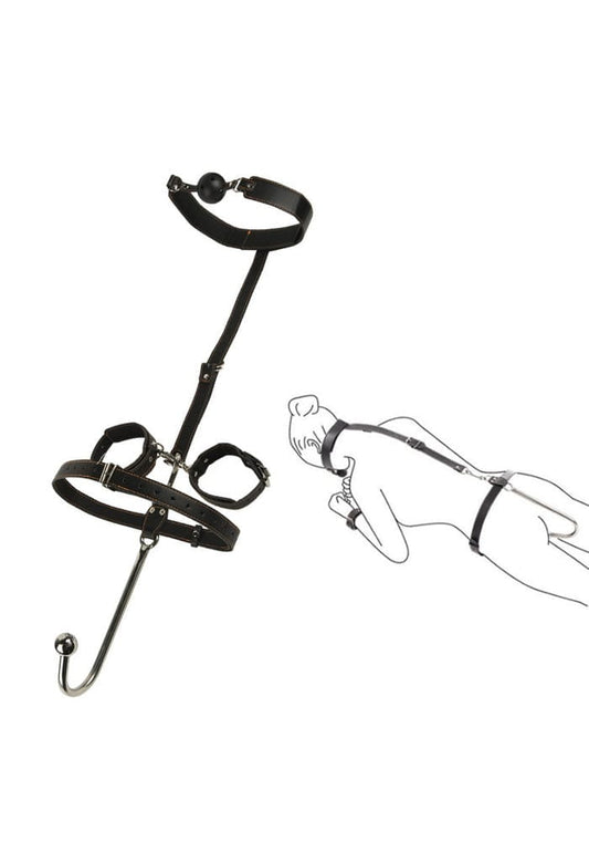 Anale haak geboeid plus gag ball set 2